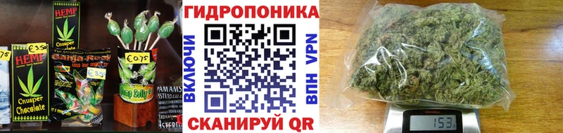 OMG маркетплейс  Старица  Cannafood конопля  цена наркотик 