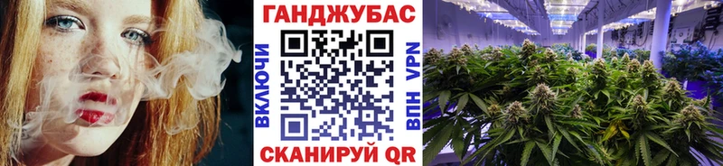 Шишки марихуана марихуана  Старица 